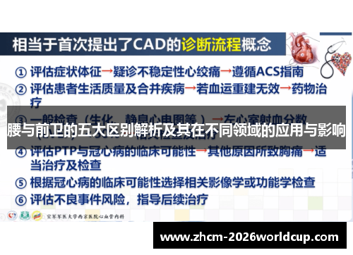 腰与前卫的五大区别解析及其在不同领域的应用与影响